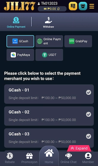 Step 2: Choose the GCash deposit method and choose one of the GCash payment channels below.