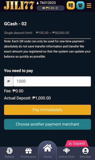 Step 3: Please enter the amount you want to pay and click “Pay Immediately”.