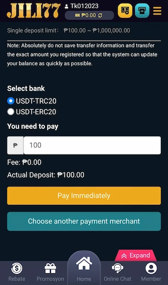 Step 2: Choose 1 of 2 protocol types USDT-TRC20 or USDT-ERC20. Then enter the amount you want to pay.