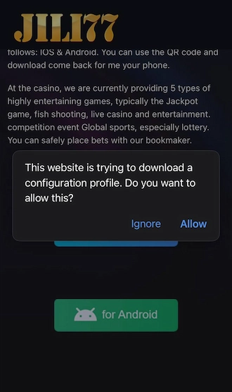 Step 3: The phone sends a notification that the website is trying to download a profile. Click "Allow" on this notification.