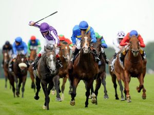 Steps to Get Into Horse Racing Betting
