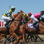 The concept of horse racing betting