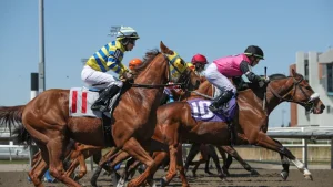 The concept of horse racing betting