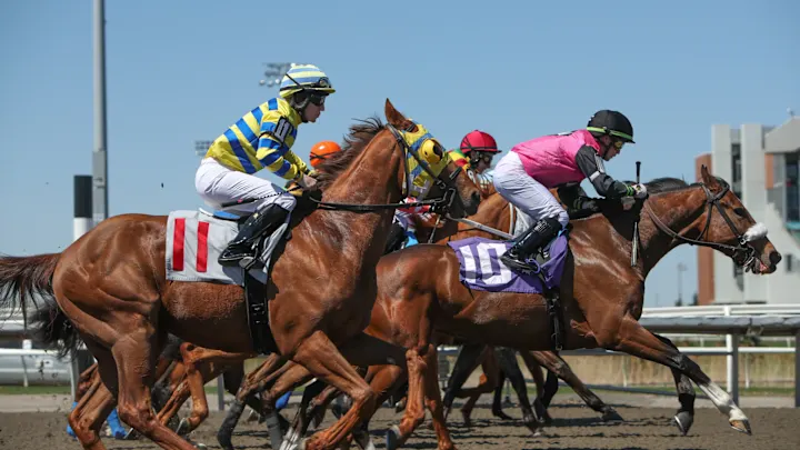 The concept of horse racing betting